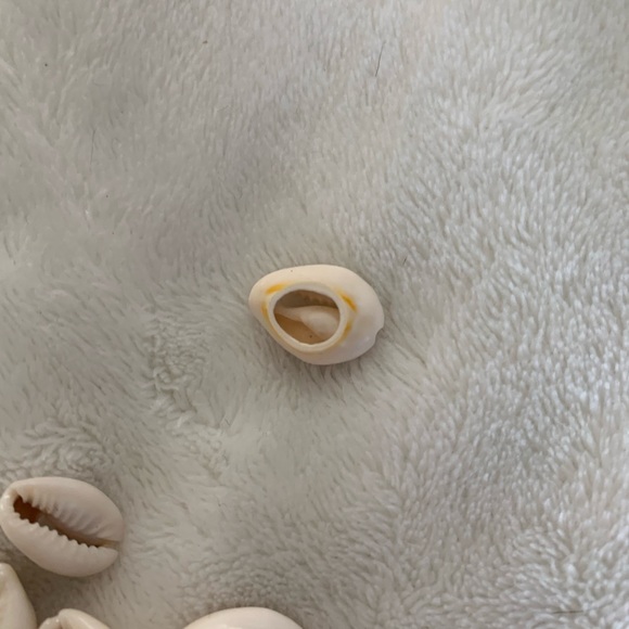 Shell beads - Picture 3 of 5